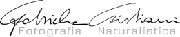 Logo di Gabriele Cristiani